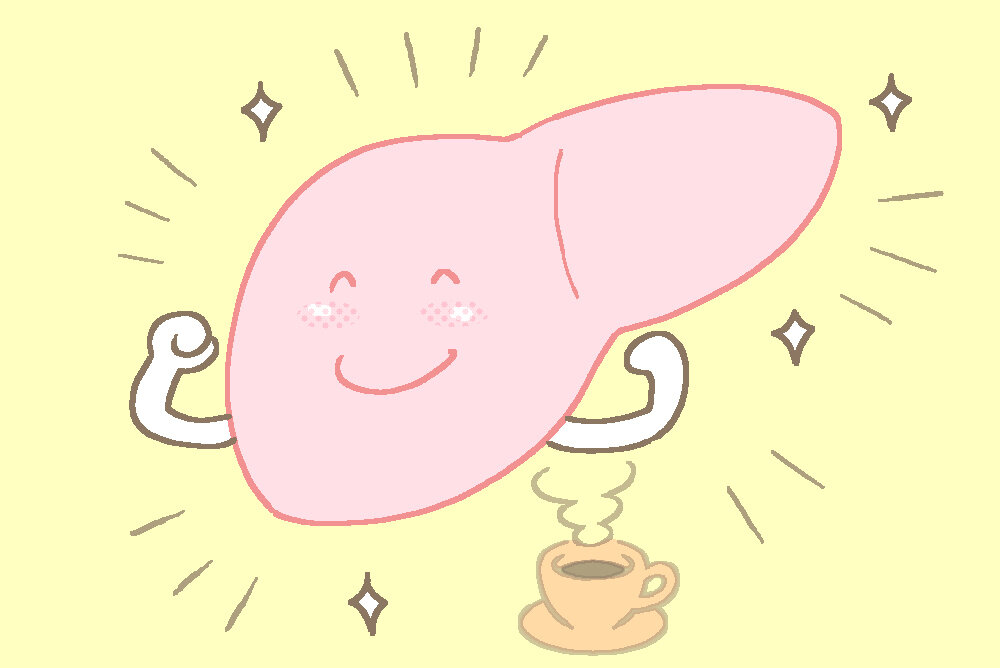 抗肥満＿毎日飲むコーヒーが肝脂肪を抑制する_t.jpg